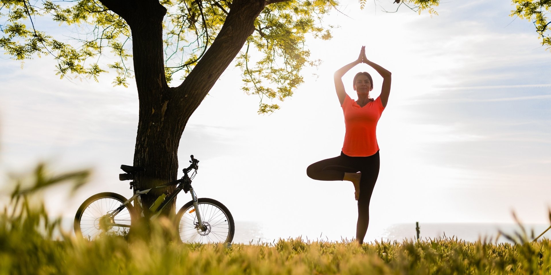 CareWellBeing
